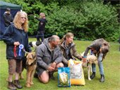 Dog Show
